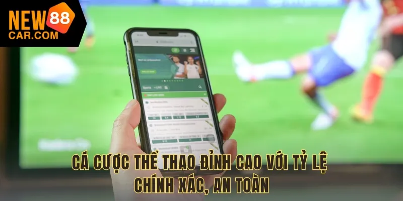 Cá cược thể thao đỉnh cao với tỷ lệ chính xác, an toàn
