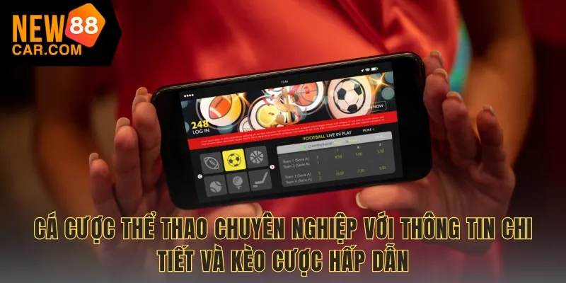 Cá cược thể thao chuyên nghiệp với thông tin chi tiết và kèo cược hấp dẫn