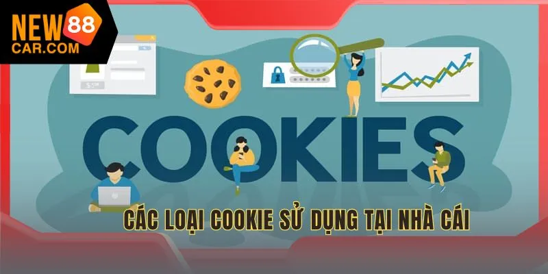 Chính sách Cookie bao gồm nhiều dạng khác nhau