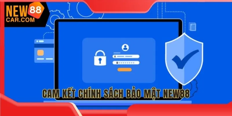 Cam kết thương hiệu và người chơi liên quan đến an toàn