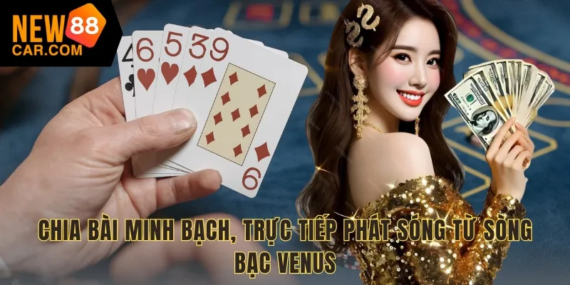 Chia bài minh bạch, trực tiếp phát sóng từ sòng bạc Venus