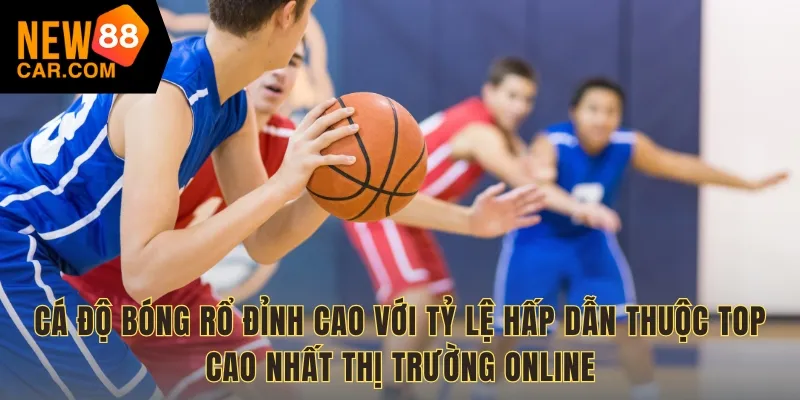 Cá độ bóng rổ đỉnh cao với tỷ lệ hấp dẫn thuộc top cao nhất thị trường online