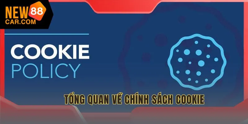 Bao gồm quy tắc tuân thủ chuẩn quốc tế