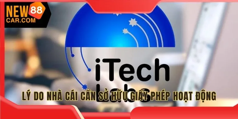 Lý do trang chủ NEW88 công khai giấy phép hoạt động sở hữu 