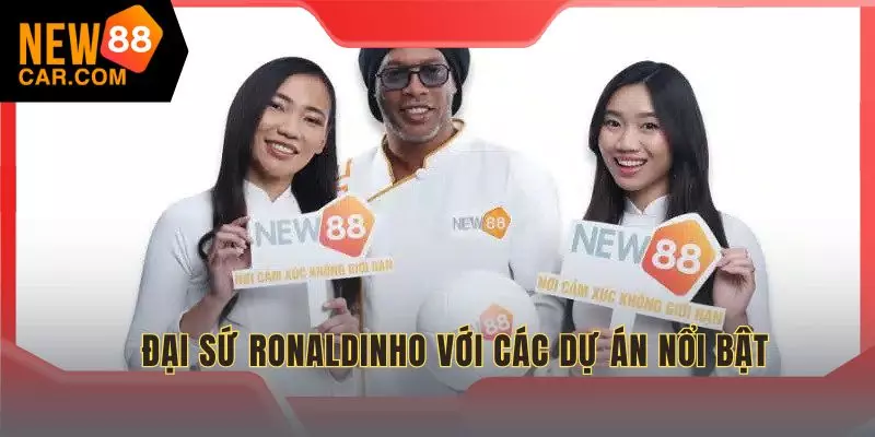 Những hoạt động tiêu biểu trên cương vị đại lý phân phối NEW88
