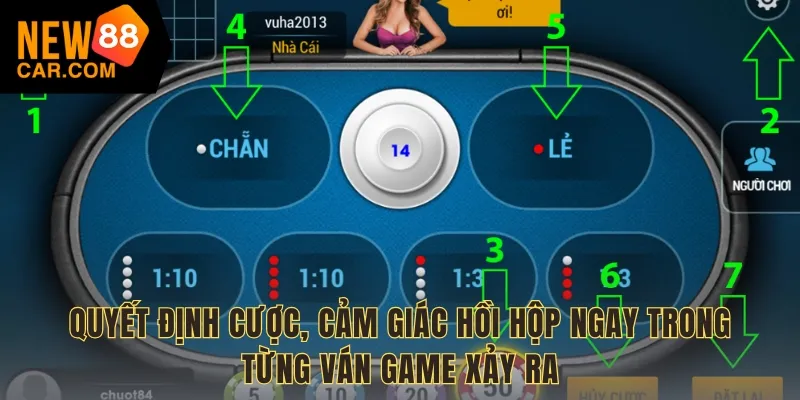 Quyết định cược, cảm giác hồi hộp ngay trong từng ván game xảy ra